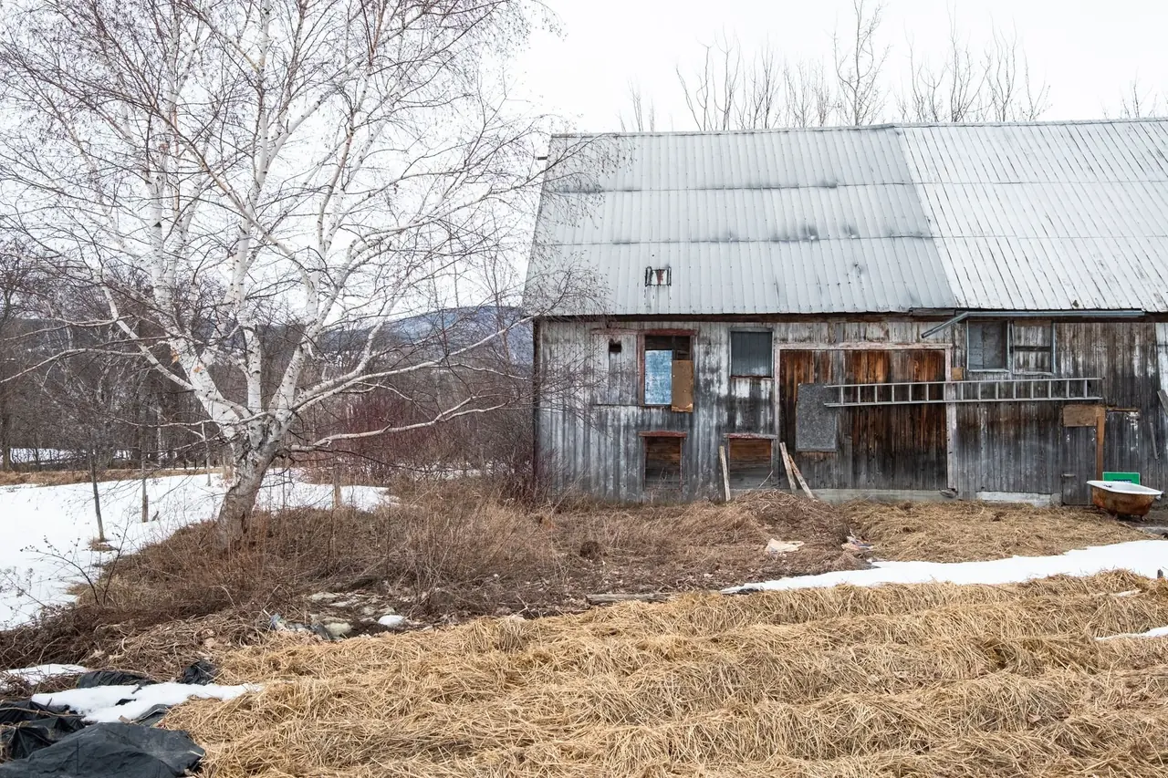 Grange en bois vieillie dans un paysage rural enneigé
